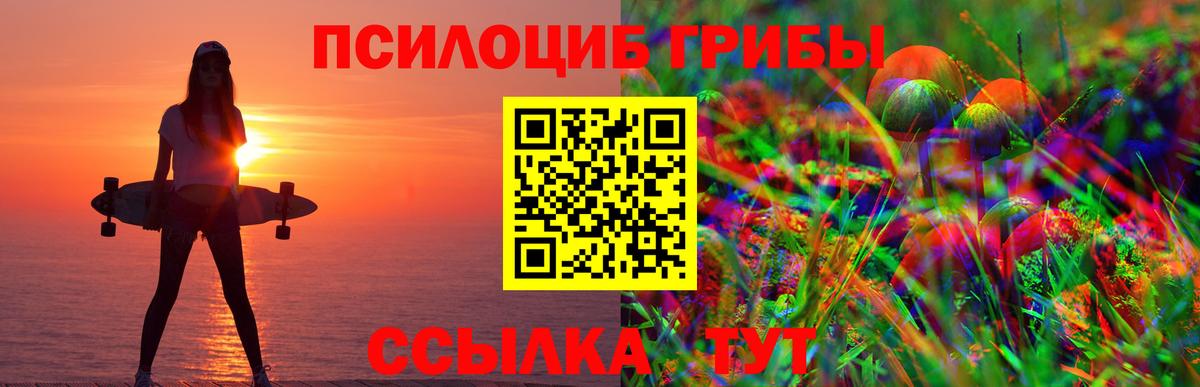 Галлюциногенные грибы Psilocybine cubensis Кирово-Чепецк